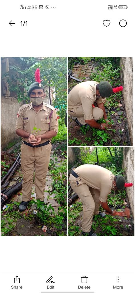 Tree Plantation India Ncc