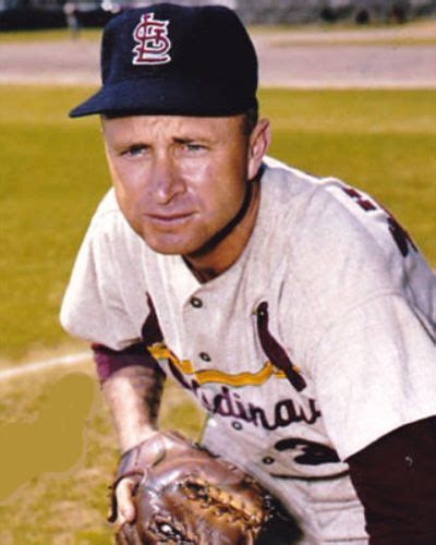 Bobby Shantz Stl Cardinals Baseball St Louis Baseball Bobby Shantz