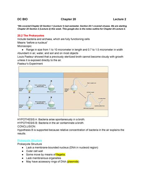 Biology Chapter 20 Section 1 Protist Answer Key