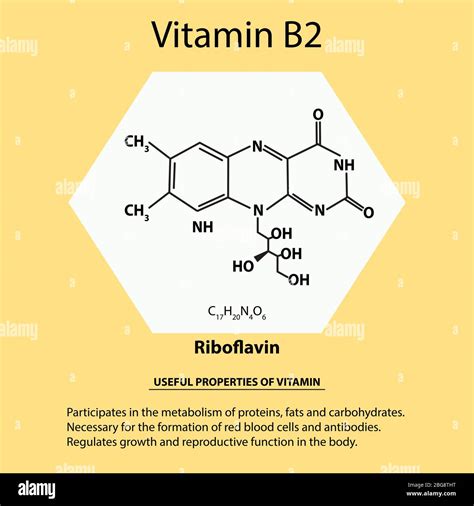 Vitamin B2 Riboflavin Molecular Chemical Formula Useful Properties Of