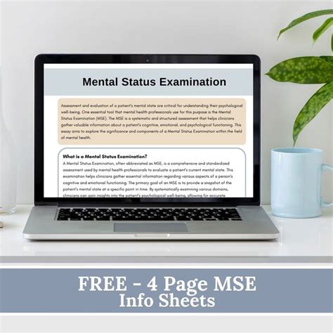 Mental Status Exam Bundle Therapy Cheat Sheets Mse Progress Notes T