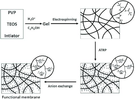 Schematic Illustration Of The Preparation Of The Pil Brush Coated