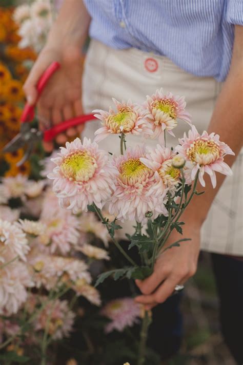 Top Tips for Arranging Mums | Arrangement, Table decorations, Mum