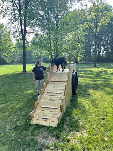 Firestone Dog Park in The Harvey S.... - Restore Columbiana