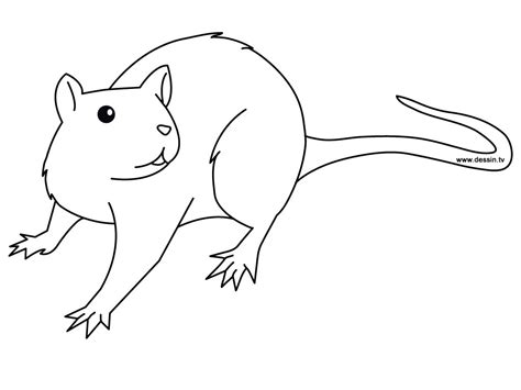 Free Printable Rat Coloring Pages For Kids