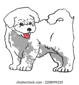 403 Bichon Frise Drawing Images, Stock Photos & Vectors | Shutterstock