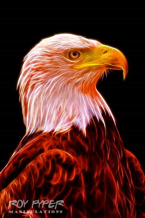 Bald Eagle Fractalius Re Edit Ver2 By Roypyper On Deviantart