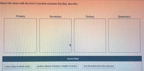 Solved Match the items with the level of protein structure | Chegg.com