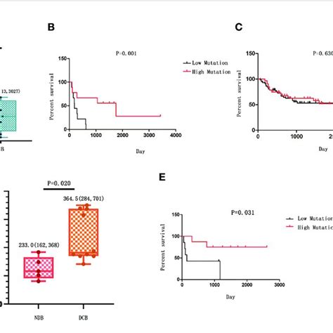 The Correlation Between Tumor Mutational Burden Tmb And Response To Download Scientific