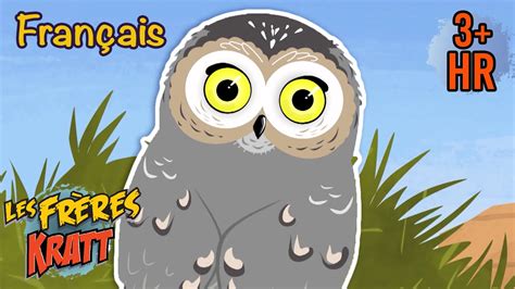 Le plus petit hibou du monde épisodes complets Les Frères Kratt YouTube