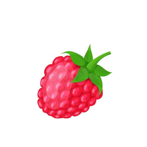 Raspberry Icon Vector Stock Illustration Illustration Of Fruit