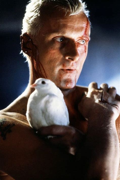 Rutger Hauer Blade Runner 1982 Cine Blade Runner Fotografía De Cine