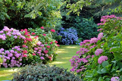 patrouillieren Band Mode schöner wohnen gartengestaltung Mann