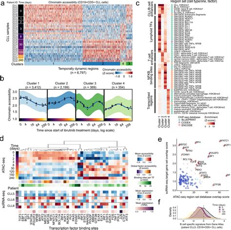 Integrated Analysis Of Chromatin Accessibility And Gene Expression In