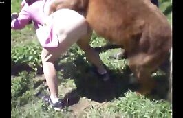 Gratis sex videoer om dyr Det bedste pornorør med dyreporno og zoofili