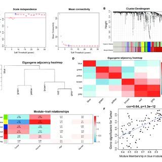 Construction Of Weighted Gene Co Expression Network A Network