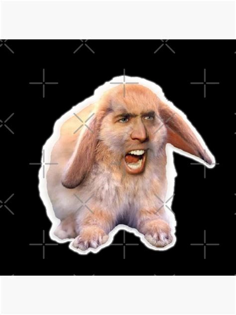 Nicolas Cage As A Rabbit Nicholas Cage Nick Cage Nic Cage Poster