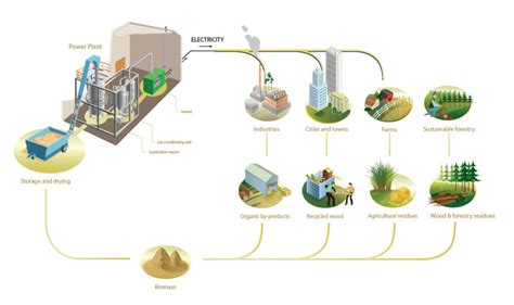 How is Sugar Cane Used to Generate Electricity? (Bagasse Power Plant in ...