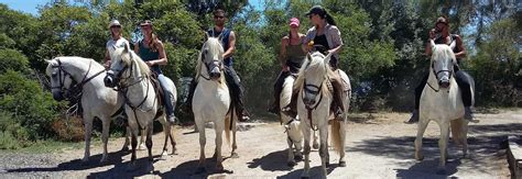 Mas St Georges Equestre Centre De Randonn Es Cheval En Camargue