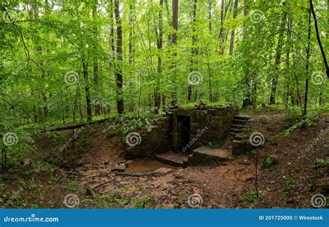 Ruins Of A Small Cabin And Springhouse In The Green Of The Summer