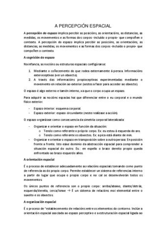 Percepcion Espacial Pdf