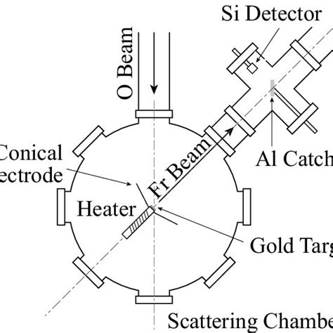 Schematic diagram of the target area. | Download Scientific Diagram