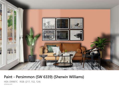 Sherwin Williams Persimmon SW 6339 Paint Color Codes Similar Paints