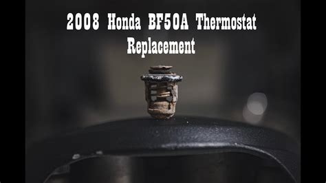 2008 Honda BF50A Thermostat Replacement YouTube