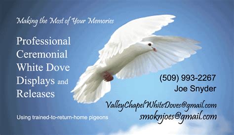 Angel Wings Doves White Dove Release Service White Dove Releases For