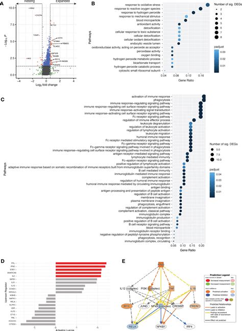 Frontiers Tracking Of Activated CTfh Cells Following Sequential