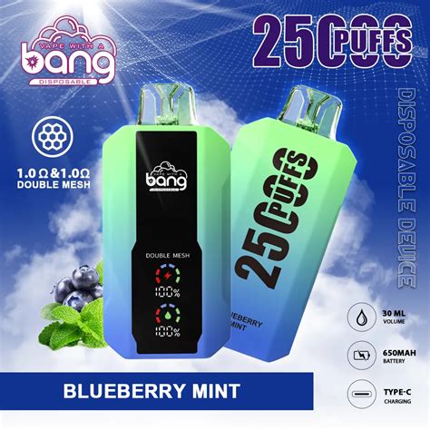 Bang Puff Disposable Vape Rechargeable E Cigarettes Mesh Coil