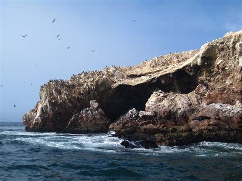 Our Year In Peru Islas Ballestas