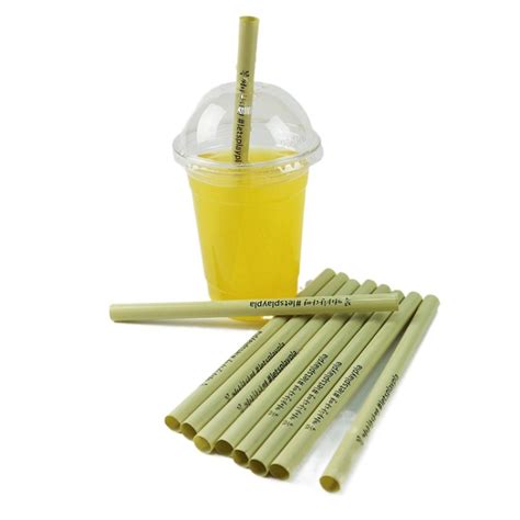 Environment Friendly Bio Pla Straw Pla Straw Biodegradable Drinking