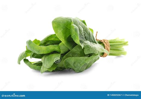 Bundle Of Fresh Spinach Isolated Stock Image Image Of Nutrient Group