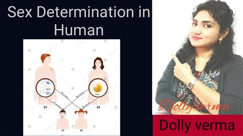Sex Determination In Human Genetics Chapter Biogyan By Dolly Verma YouTube