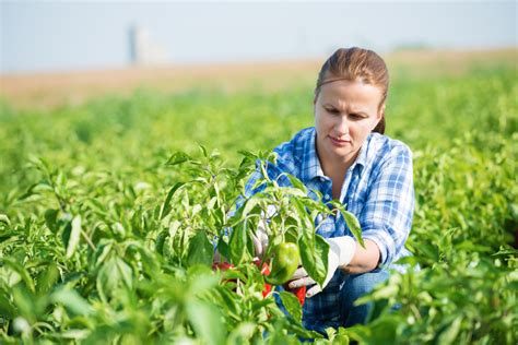 Otimismo Marca Agroneg Cio Liderado Por Mulheres Agrishow