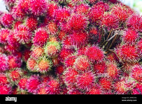 Malaysian Fruit Hi Res Stock Photography And Images Alamy