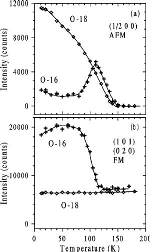 Temperature Dependencies Of The Mn Magnetic Moments Download