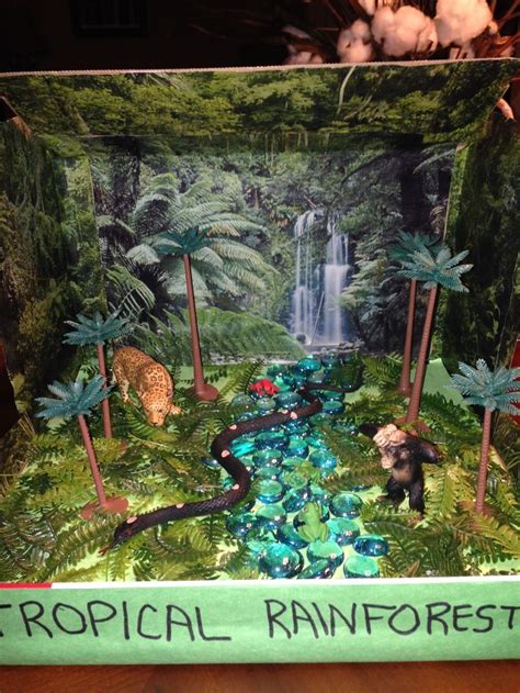 2nd Grade Diorama Project Gorilla In Rainforest Habitat 322