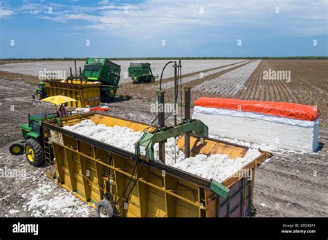 A Cotton Module Builder Known As A Stomper Prepares To Compress Cotton