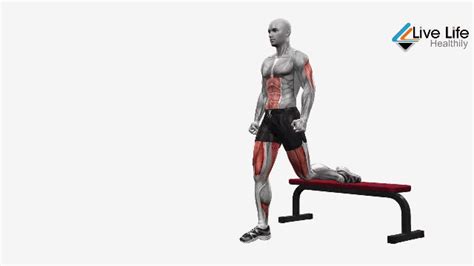 Best Squat Alternatives For Building Lower Body Strength