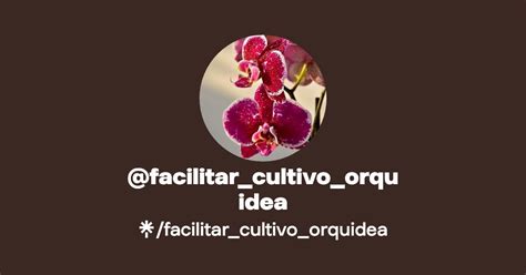 Facilitar Cultivo Orquidea Latest Links