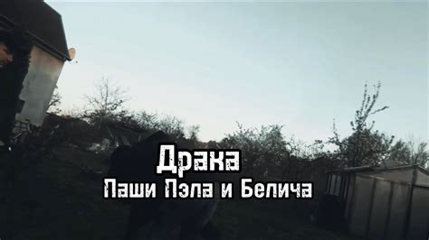 Драка Пэла и Белича. Эксклюзив. - YouTube