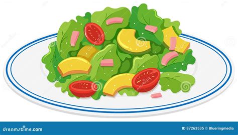 Plate Of Green Salad Stock Vector Illustration Of White 87263535