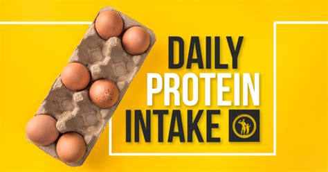 Daily Protein Intake for Men | The Fit Father Project