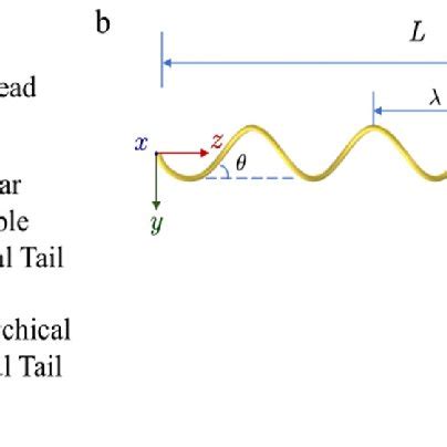 Schematic of the helical configuration. (a) Schematic illustration of ...