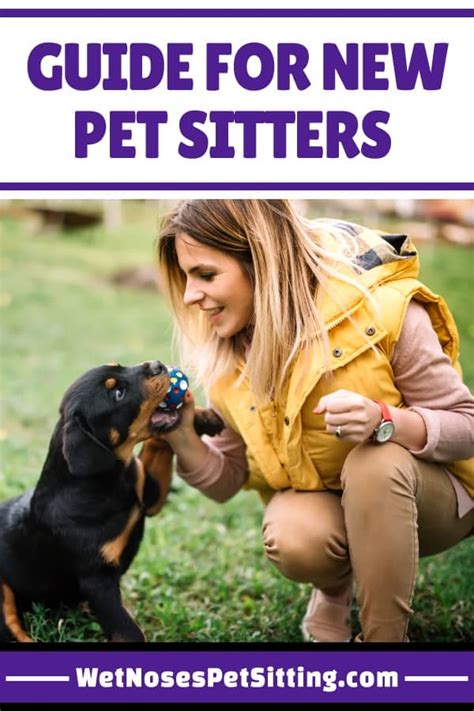 Guide For New Pet Sitters Wet Noses Pet Sitting