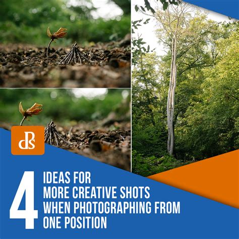 4 Ideas for More Creative Shots when Photographing from One Position