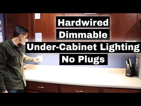 Under Cabinet Lighting No Plug Cabinets Matttroy