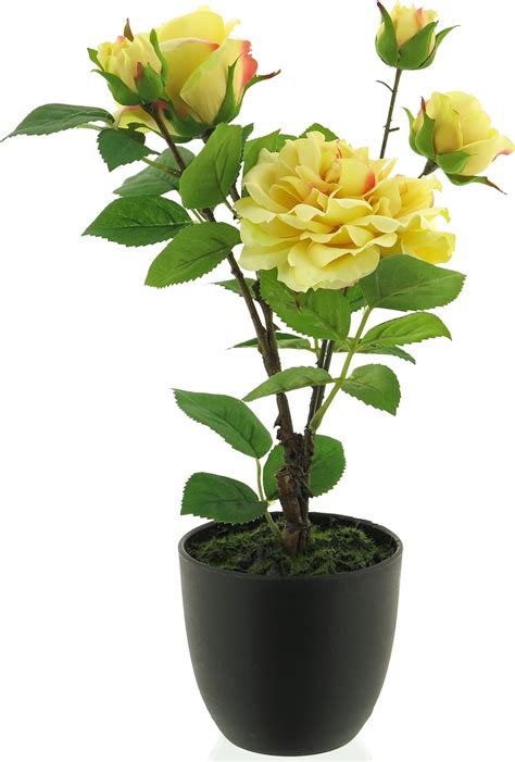 Amazon de mucplants künstlicher Rosenstock 38cm im schwarzen